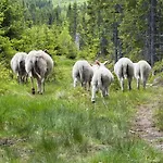 I Uten Innlagt Vann Delt Bad * Hurdal
