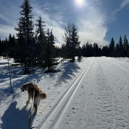 Lodge I Uten Innlagt Vann Delt Bad