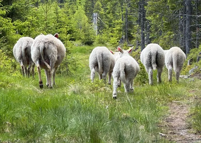 I Uten Innlagt Vann Delt Bad * Hurdal