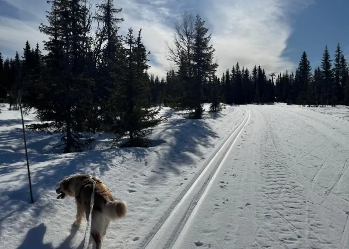 Lodge I Uten Innlagt Vann Delt Bad